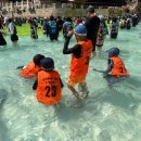 용인화랑태권도 이미지