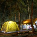 무릉계곡 힐링캠프장 이미지