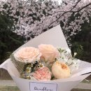 달플로르 이미지