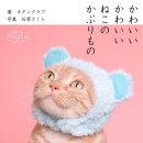 고양이 모자 이미지