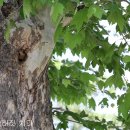 둥지나래 이미지