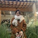 보물섬 여은남, 홍화연(+닮은꼴, 프로필, 출연작, 인스타 등)