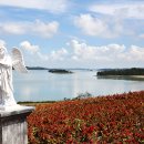 신안밧데리 이미지