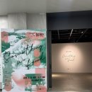 청주시립미술관 | 청주시립미술관 오창 전시 : <우리가 마주했던>