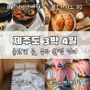 슬로우리 | 총정리｜(3일차 일정｜동문재래시장, 갈치바다 애월, 오아시스 80, 슬로우리)｜실제 동선, 주차 총정리