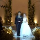 행진결혼정보 | 미디어스카이 dvd 행진 후기