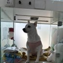 남문동물병원 이미지