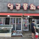 영금 | 속초 내돈내산 맛집, '영금물회' 모듬물회랑 회덮밥 후기