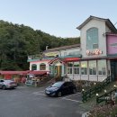 성강식당 | 보문산 아쿠아리움 맛집 푸짐한 버섯소고기샤브 유씨네부엌