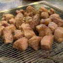 도그싸롱 이미지