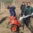 금산한국농장 이미지