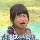 홰 이미지