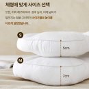 아이유 | [내돈내산] 요즘 핫한 아이유베개 구매 후기 #슬립앤슬립 아이유베개 S/M 사이즈