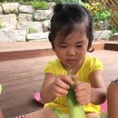 금모래어린이집 이미지