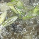 설천면101 이미지