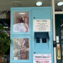 다육이아지트 | 서울 거여동 24시 꽃집 아지트 화원 내돈내산 방문 후기
