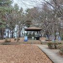 주약초등학교 앞 이미지