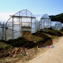 매봉산 농장 이미지