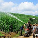 낙천농장 이미지