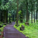 모두여행(무장애 여행) 이미지