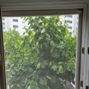 한성아파트 이미지