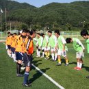 안성면 생활체육공원 이미지