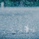 철이세탁소 이미지