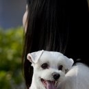 의성동물병원 이미지