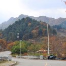 잣향기푸른마을 이미지