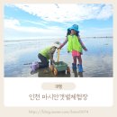 전남중학교 | 서울근교 조개잡기 체험 추천 인천 마시안갯벌체험장 솔직후기(요금, 준비물, 팁 총정리)