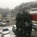 전읍농공길 이미지