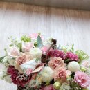 한샘플라워 이미지