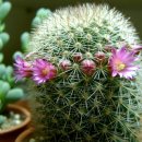 신이 난다 난타 이미지