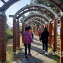 외연도3 이미지