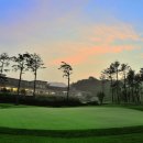 코스카cc 이미지