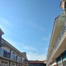 베니시모부산