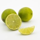 라임 이미지