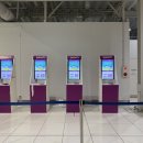 피치203-3 이미지