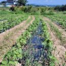 오원농장 이미지