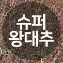 대성판매장 이미지