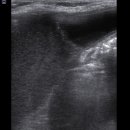 청라종합동물병원 이미지