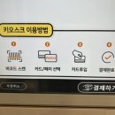 퀸애견 이미지