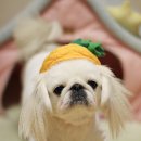 Re플레이 네이버블로그