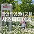 악양 승마장 이미지