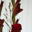 화훼장식(플로리스트) 이미지