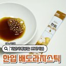 도라지 | 한입 배도라지스틱 먹는법 기관지에좋은 도라지즙 후기