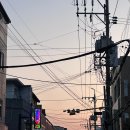보문다방 | 5월 1박 2일 경주여행_황리단길, 소노캄경주, 보문갈비