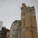 (주)네이온 | 터기 여행 시작 에페소스 (Ephesus)에서
