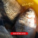 적성건강원 - 문경시 적성큰마길 7 | 파주장어즙, 붕어즙, 잉어즙, 가물치즙 항아리 중탕 엑기스 전통 건강원 여기 있어요
