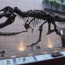 한국지질자원연구원 지질박물관 이미지